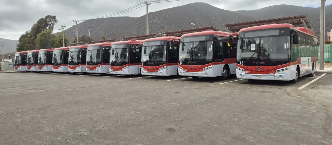 BUSES