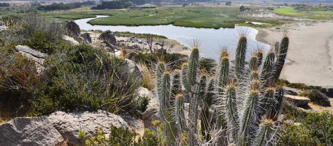 DIA DEL AGUA - IMG_1546 (2)-min