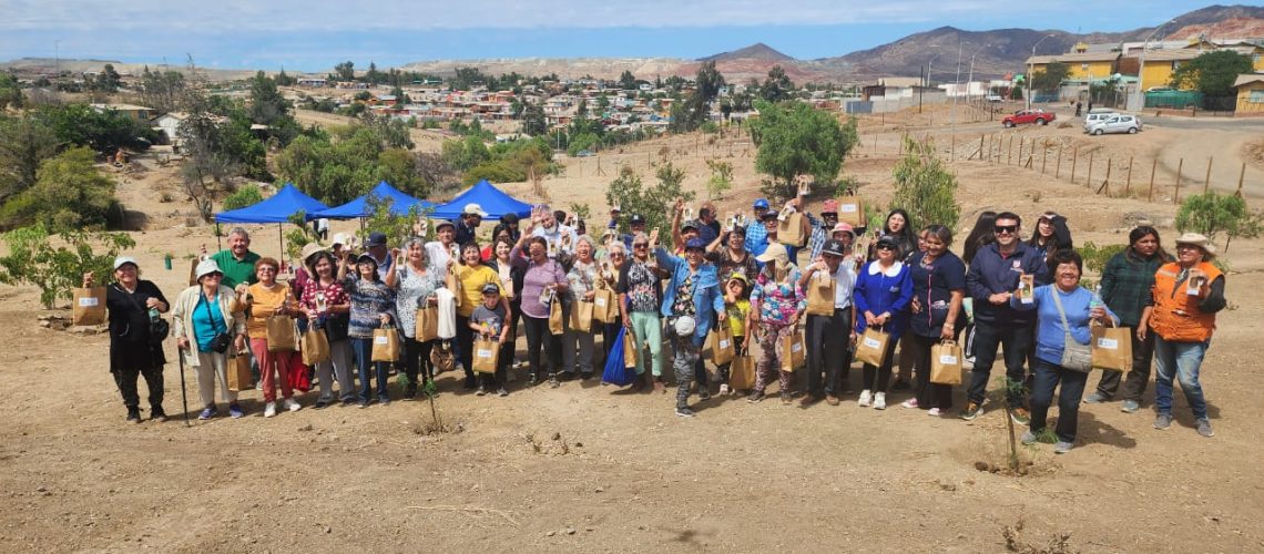 F1 Plantacion Andacollo