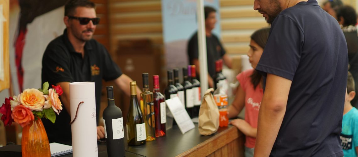 Fiesta de la Vendimia de Ovalle 2025 (2)