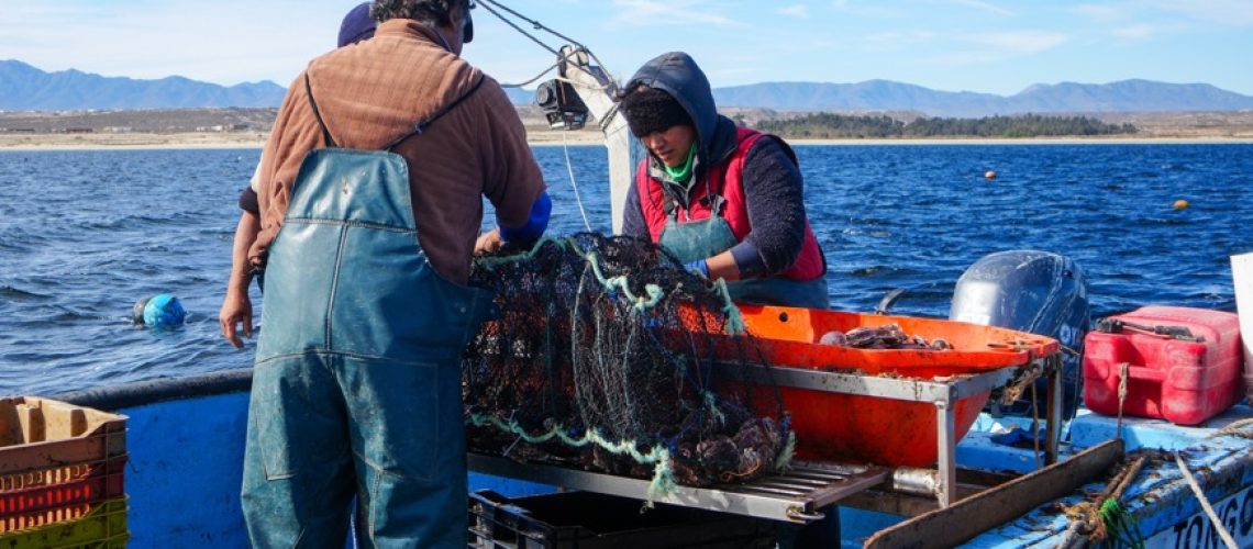 Foto 4, Pescadores de la región de Coquimbo