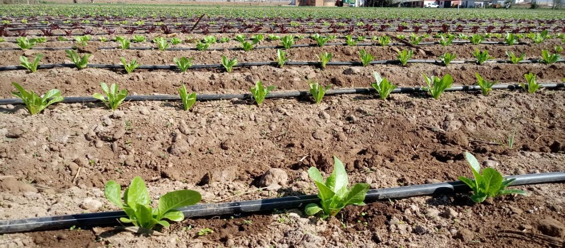 IMG-20200505-WA0004 (1) (1)