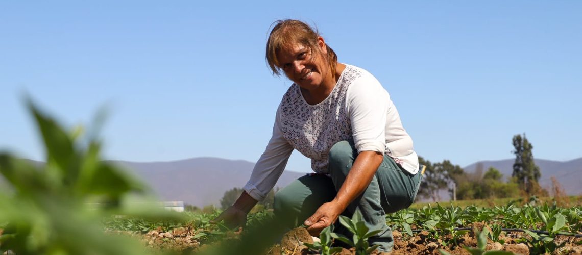 IMG-20230309-WA0020 (2)