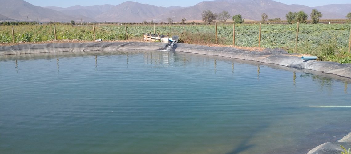 IMG_20210512_123327311 (1) (1)