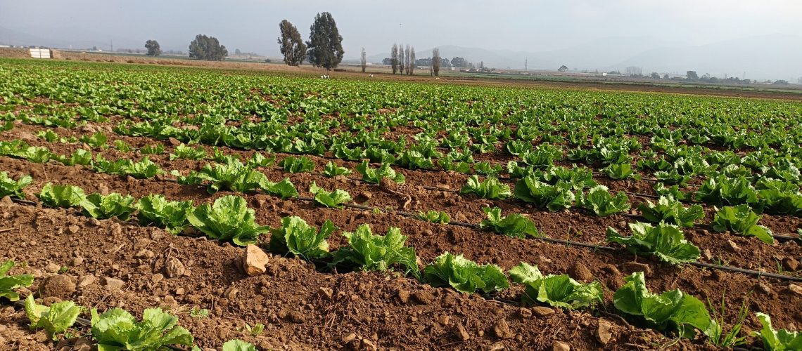 IMG_20230511_132549490 (3) (1)