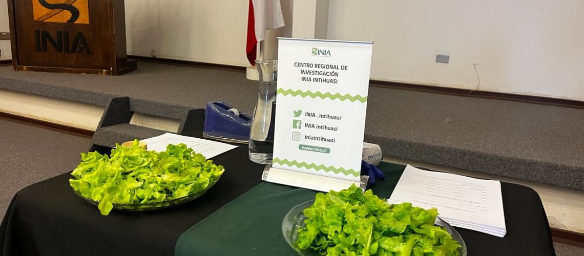 Lechugas INIA