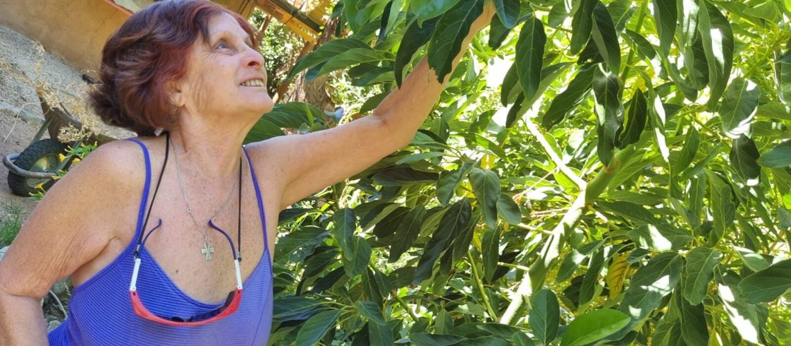 Lidia Acuña es usuaria de INDAP y dice que está muy contenta con la vida que lleva en Cochiguez, comuna de Paihuano 01