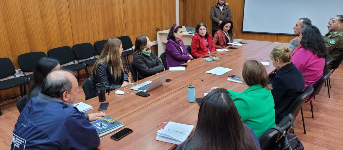 MESA EXPLOTACIÓN SEXUAL INFANTIL (1)