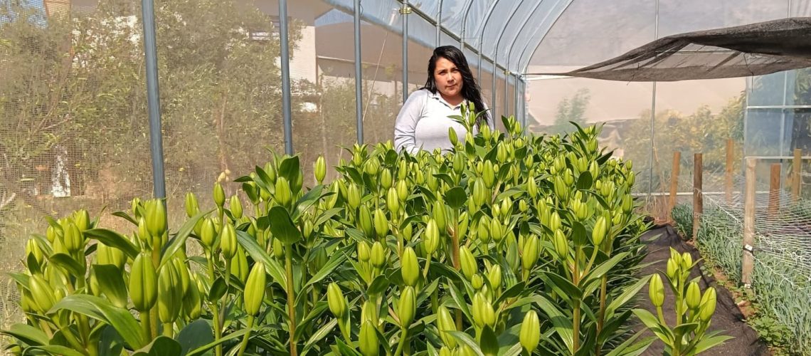 Maritza Cortés es una joven rural de la comuna de Andacollo, dedicada al rubro de la floricultura 01