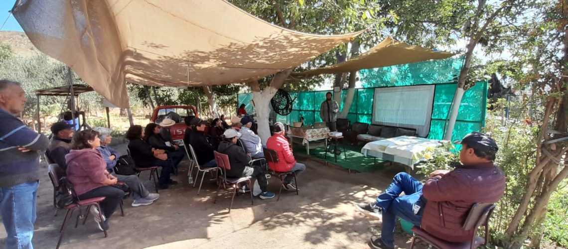 Mediante el programa TAS, usuarios y usuarias de INDAP están avanzando hacia una agricultura sostenible y resiliente 02