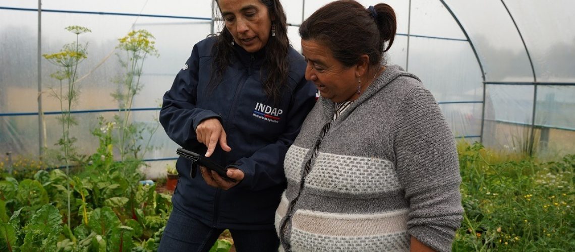 “Mi Pago INDAP” La plataforma digital que facilitará los pagos de usuarios y usuarias de la institución en la región de Coquimbo