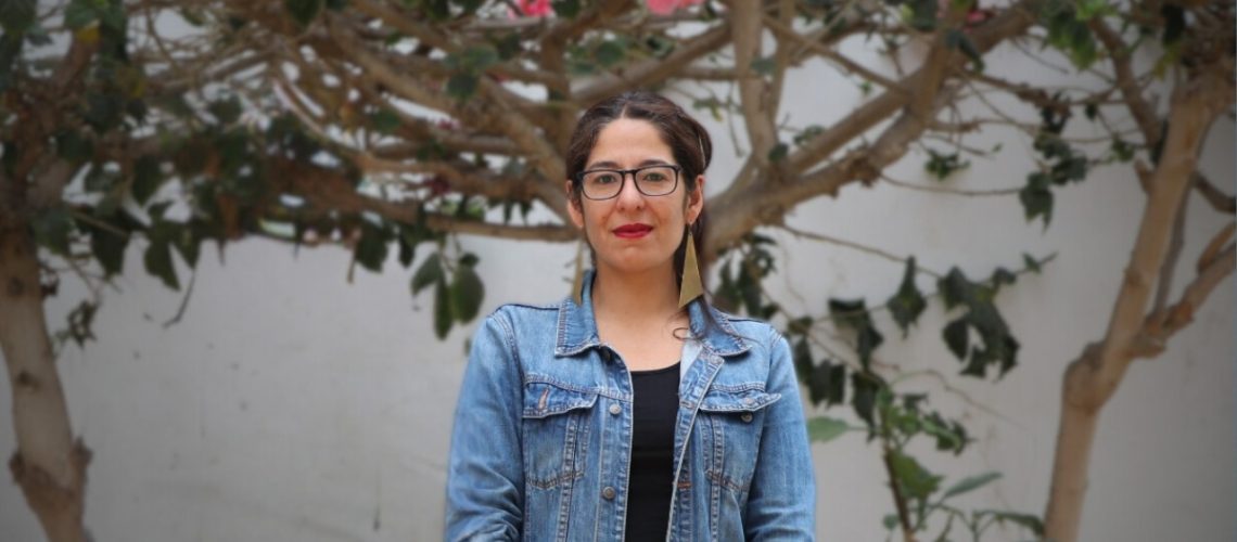 Paulina Mora Lara, Seremi de Gobierno