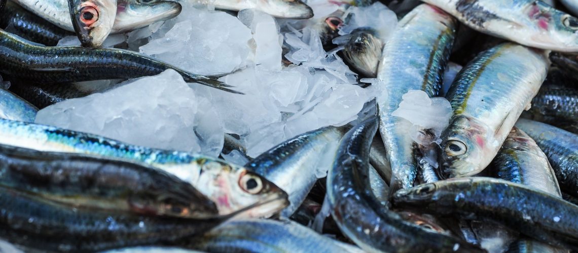 Pescados (1)