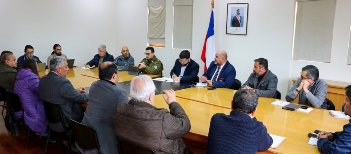 SEGURIDAD CAMIONES - img_1408