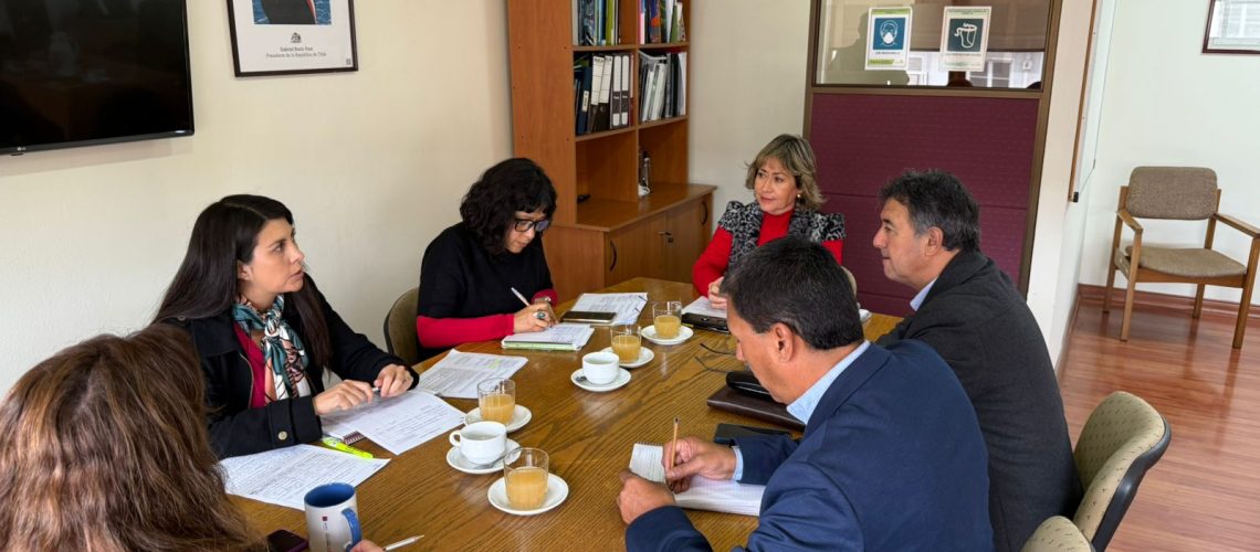 Seremi BBNN Muni Andacollo (1)