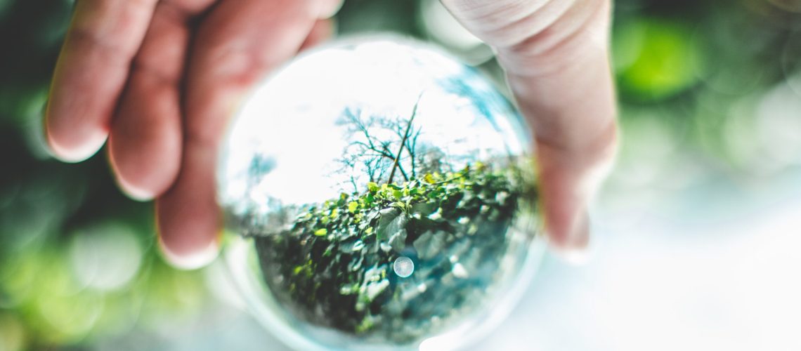 Viraliza Formación DPS