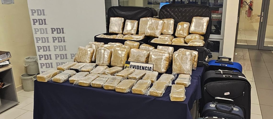 WhatsApp Image 2024-07-04 at 15.19.25