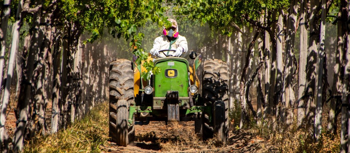 WhatsApp Image 2024-07-30 at 11.14.18 AM