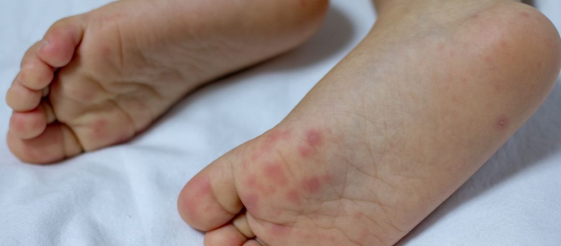 WhatsApp Image 2024-07-30 at 15.30.28