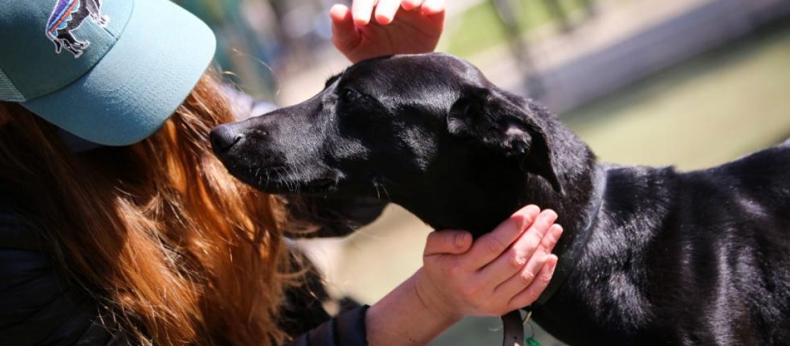 WhatsApp Image 2024-08-27 at 12.27.30 PM