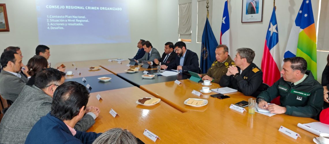 WhatsApp Image 2024-11-08 at 11.28.37 AM