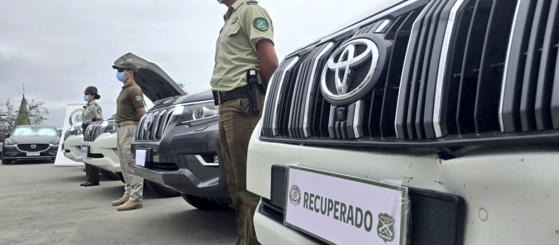 WhatsApp Image 2024-12-18 at 2.56.38 PM