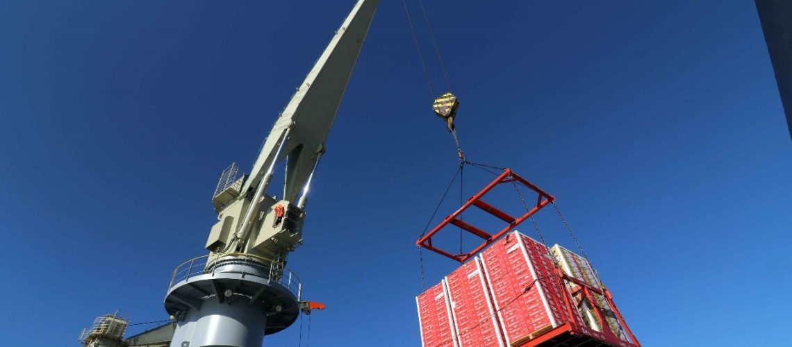 WhatsApp Image 2025-01-13 at 12.35.44 PM