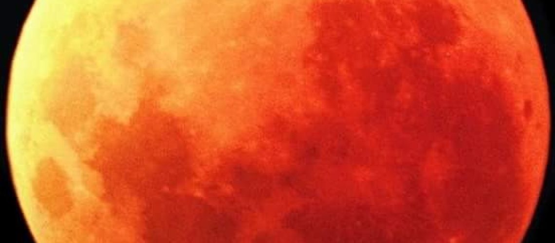 WhatsApp Image 2025-03-12 at 2.14.28 PM