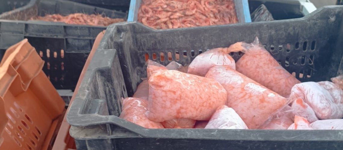 WhatsApp Image 2025-04-17 at 4.22.33 PM