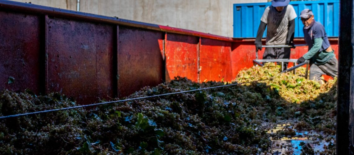 WhatsApp Image 2025-06-24 at 12.20.07