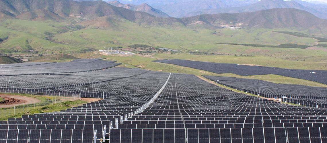 WhatsApp Image 2025-09-25 at 12.51.57