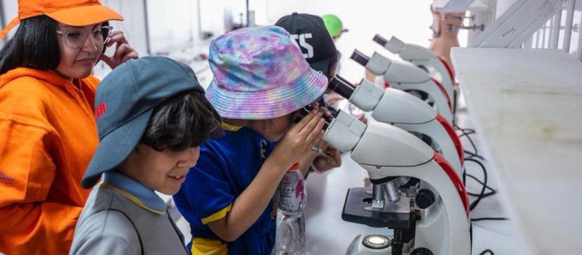 WhatsApp Image 2025-10-03 at 13.35.23