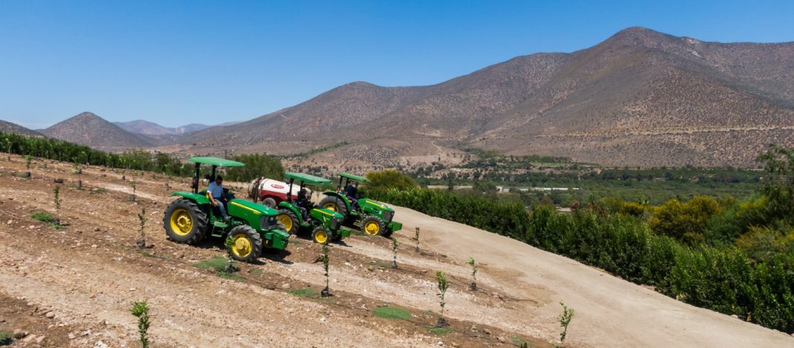 WhatsApp Image 2025-11-14 at 08.27.15