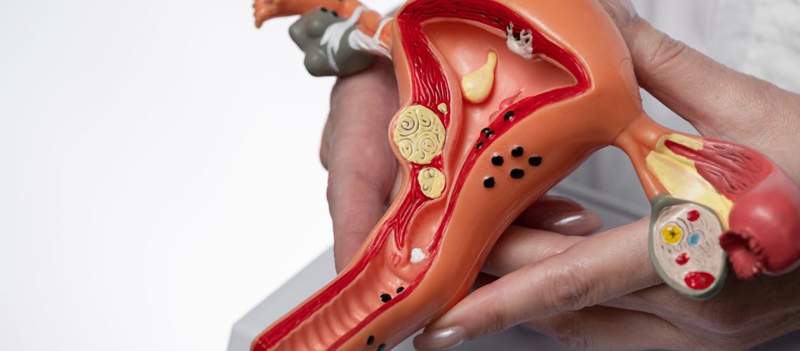 WhatsApp Image 2026-03-26 at 13.36.19