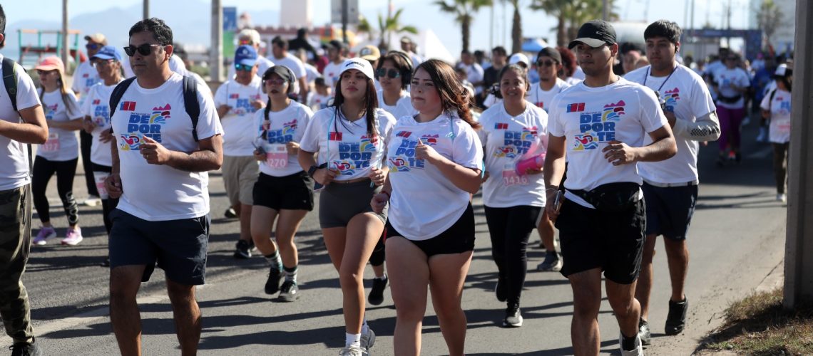 WhatsApp Image 2026-04-11 at 17.29.48